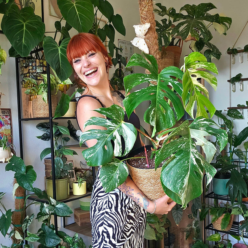 Image 312327012682 Hoe Robbin 155.000 volgers inspireert met haar passie voor planten