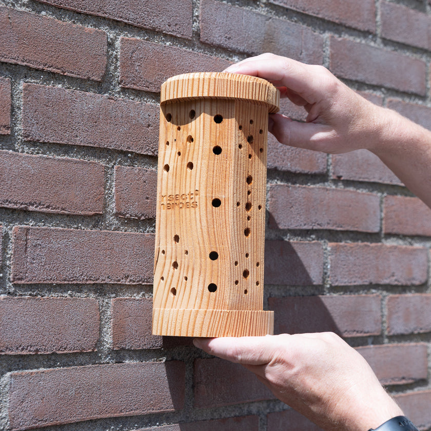 Bijenhotel Bijenhotel