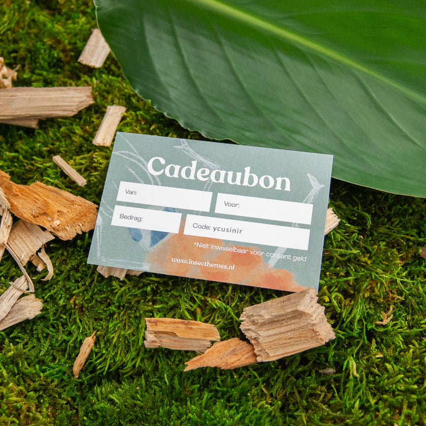 Cadeaukaart Cadeaukaart