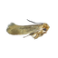 Image 49633819623754 Kledingmot