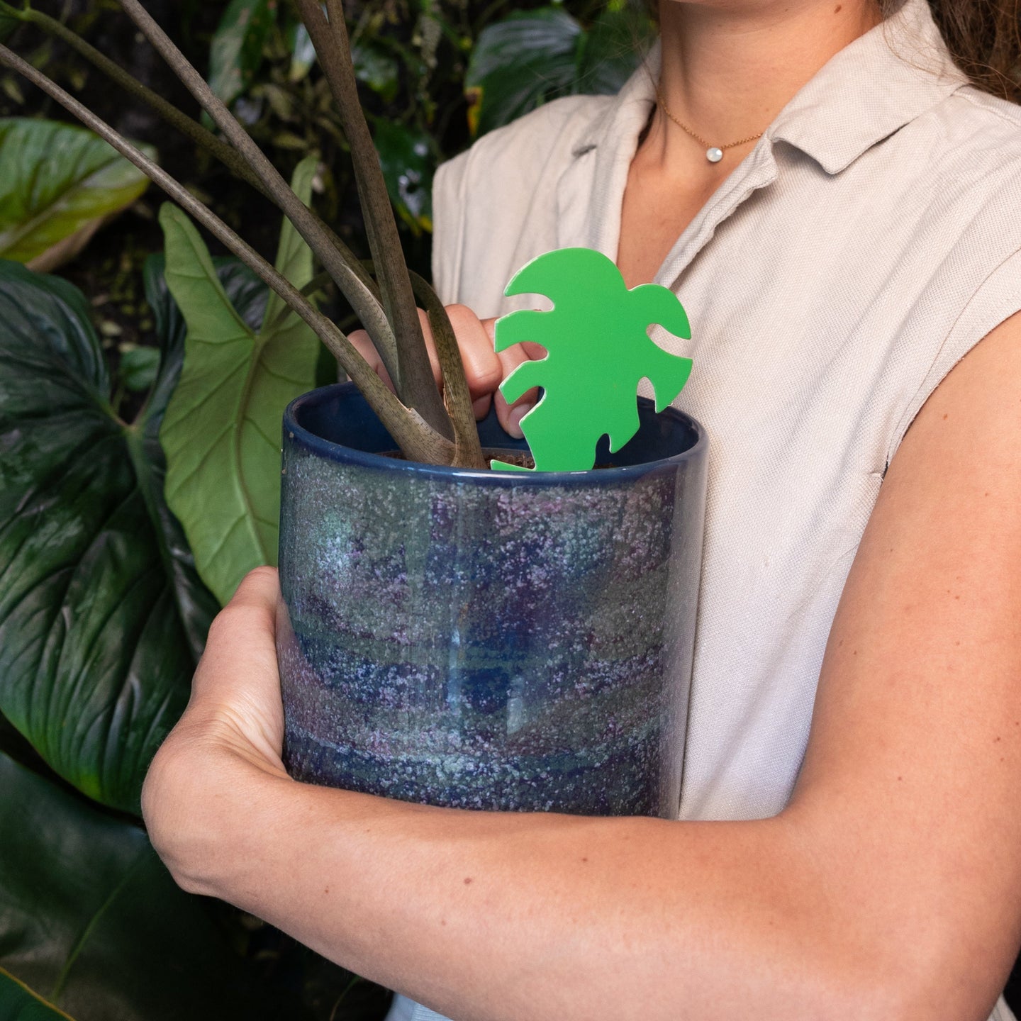 Sticky Leaf Groen Mini- tegen rouwvliegjes groene vangkaartje met rouwvliegjes erop in een bloempot