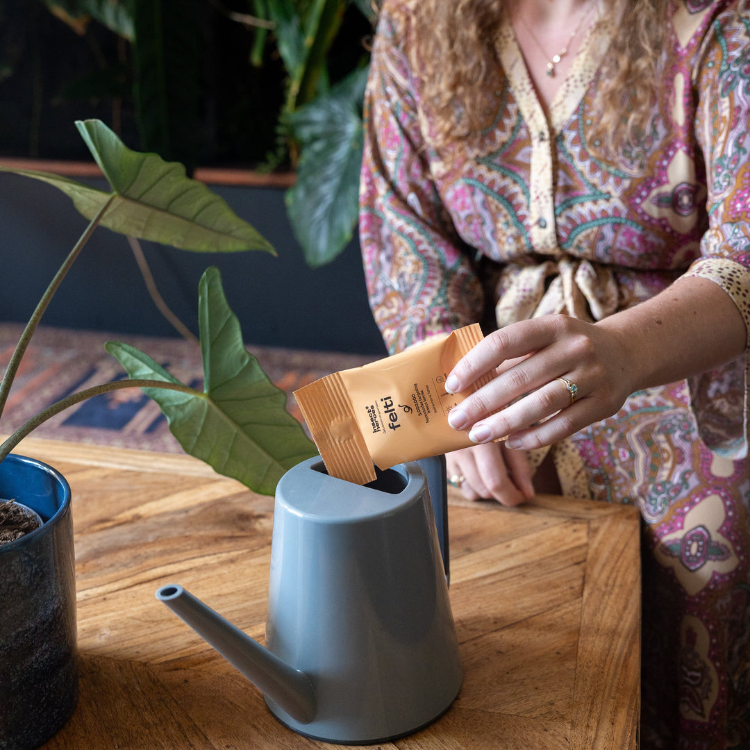 Zakje Felti wordt geleegd in een gieter voor binnenplanten Zakje Felti wordt geleegd in een gieter voor binnenplanten