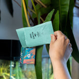 Zakje Carna wat wordt geleegd in een boxi uitzetdoosje aan een plant Zakje Carna wat wordt geleegd in een boxi uitzetdoosje aan een plant