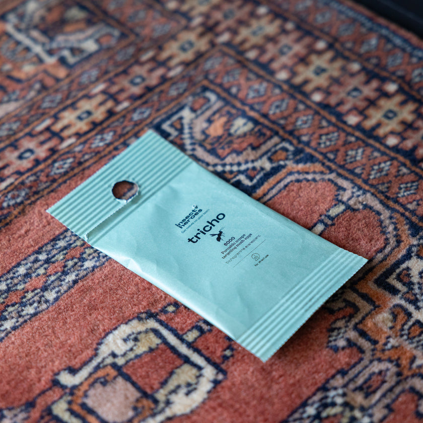 Tricho - tegen kledingmotten Tricho vlieg en kledingmot versus