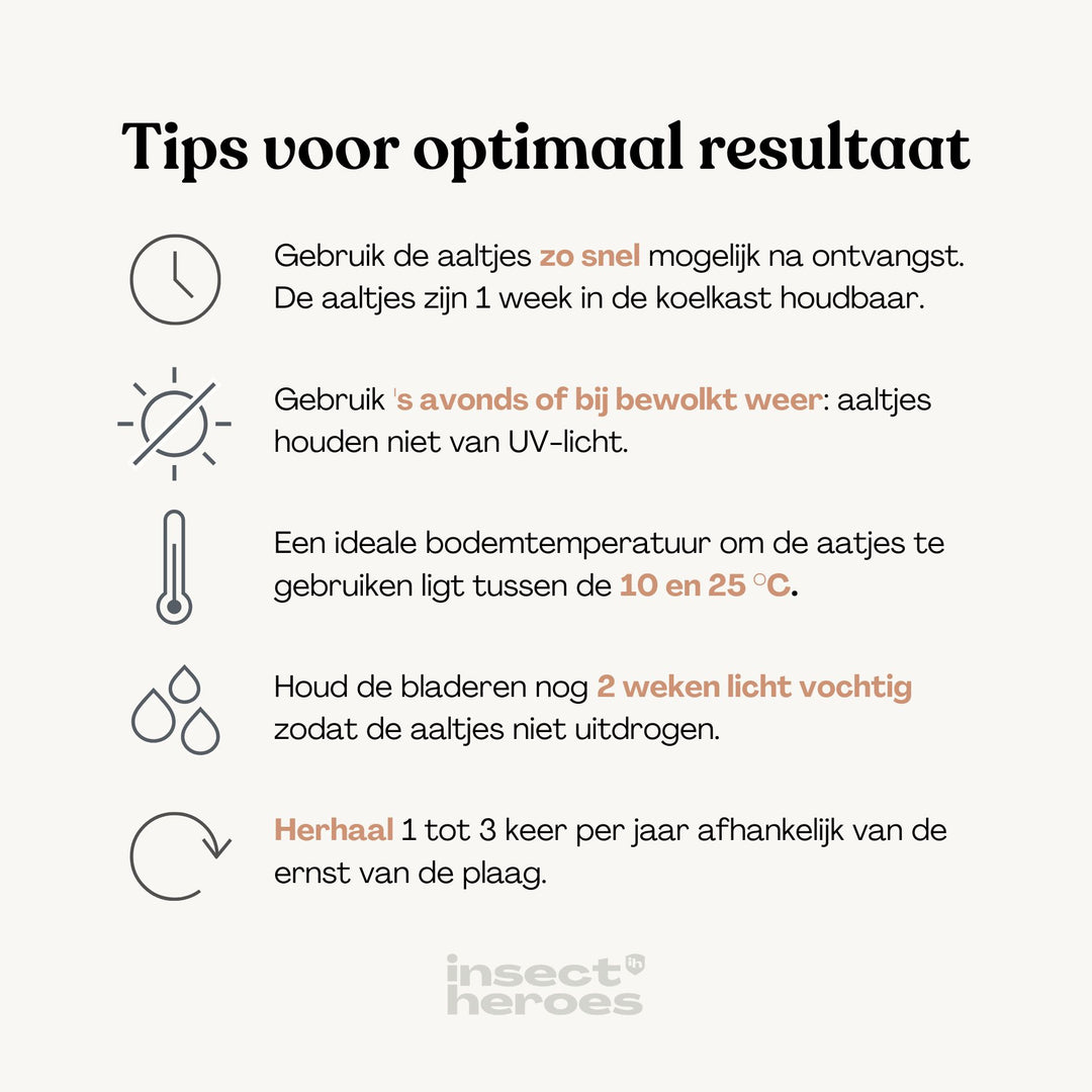 Felti - tegen taxuskever Felti - tegen taxuskever