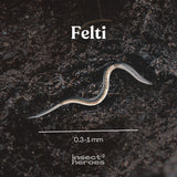 0.3 millimeter tot 1 millimeter Felti aaltje macro foto 0.3 millimeter tot 1 millimeter Felti aaltje macro foto