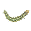 Image 49633819984202 Vijgenskeletteermot
