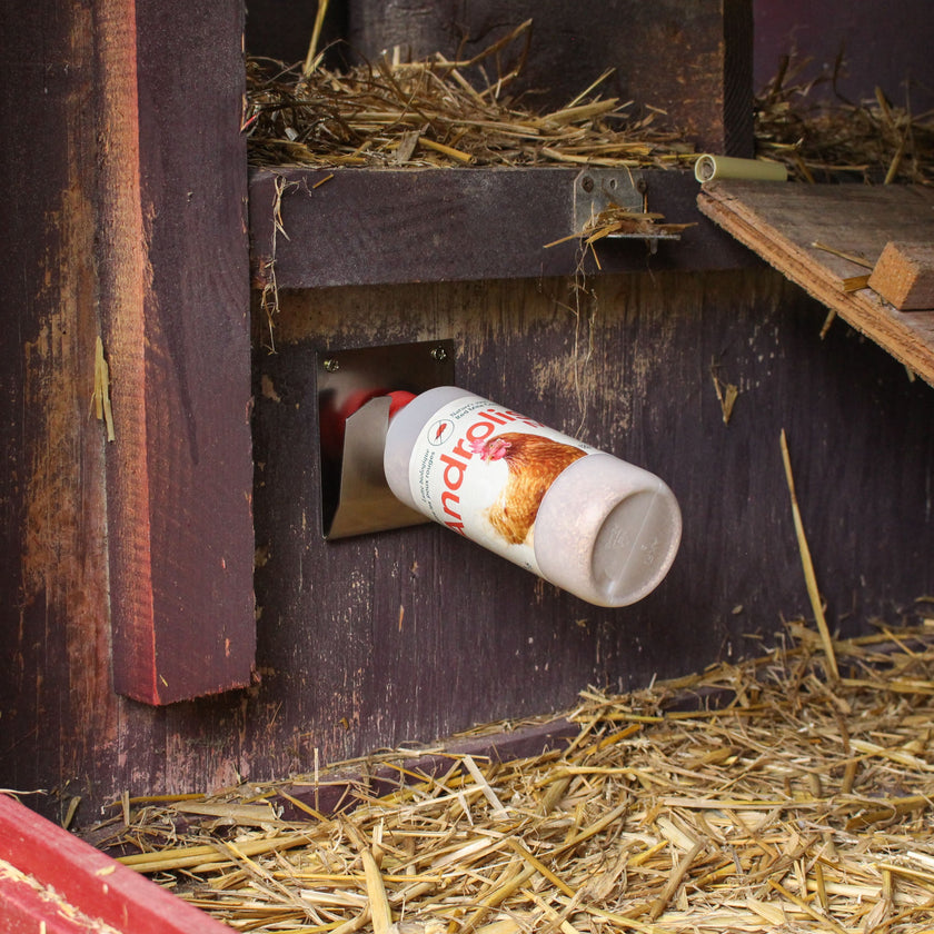 Combi Deal - Bloedluis voorkomen Combi Deal - Bloedluis voorkomen