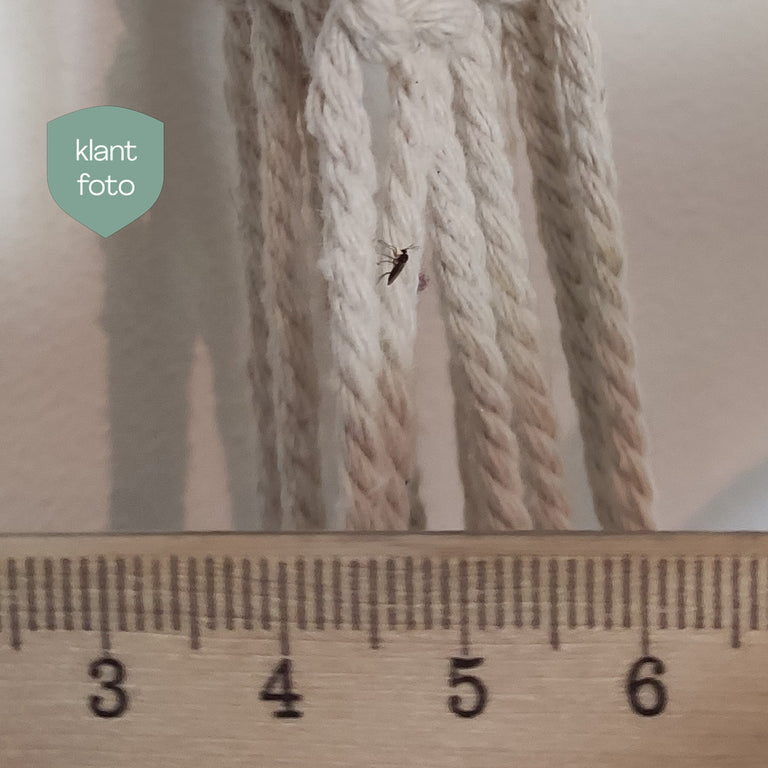 Image 49644713017674 Image 49644713017674