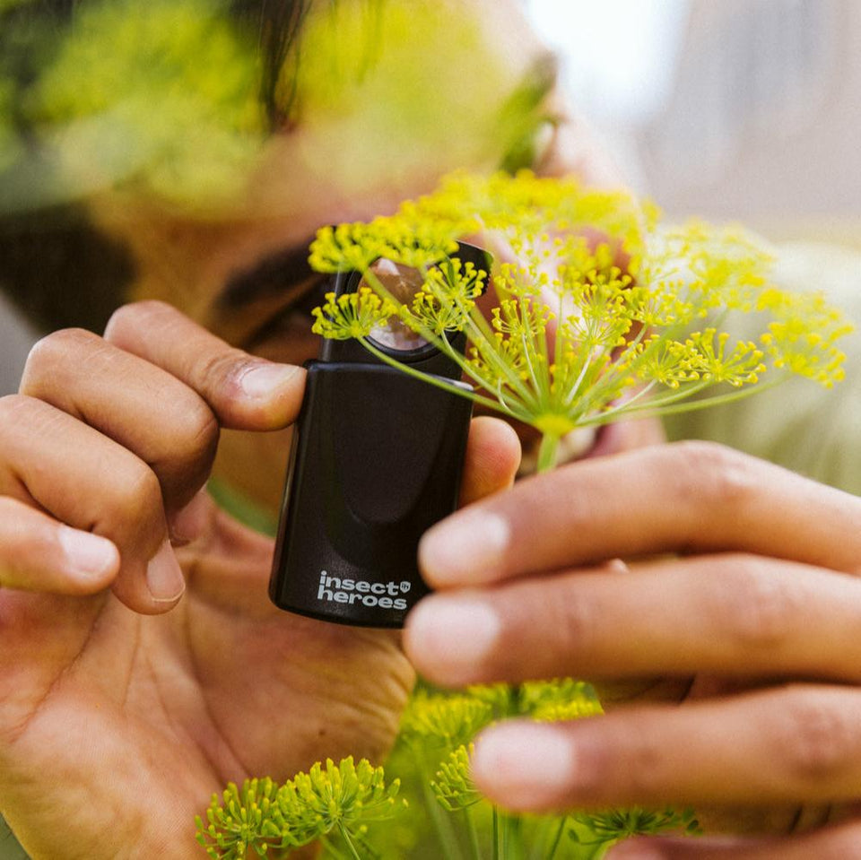 Loupe insect heroes handloep
