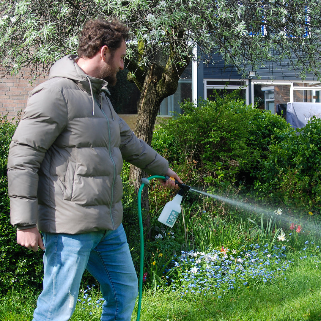 Phora- tegen engerlingen Phora- tegen engerlingen
