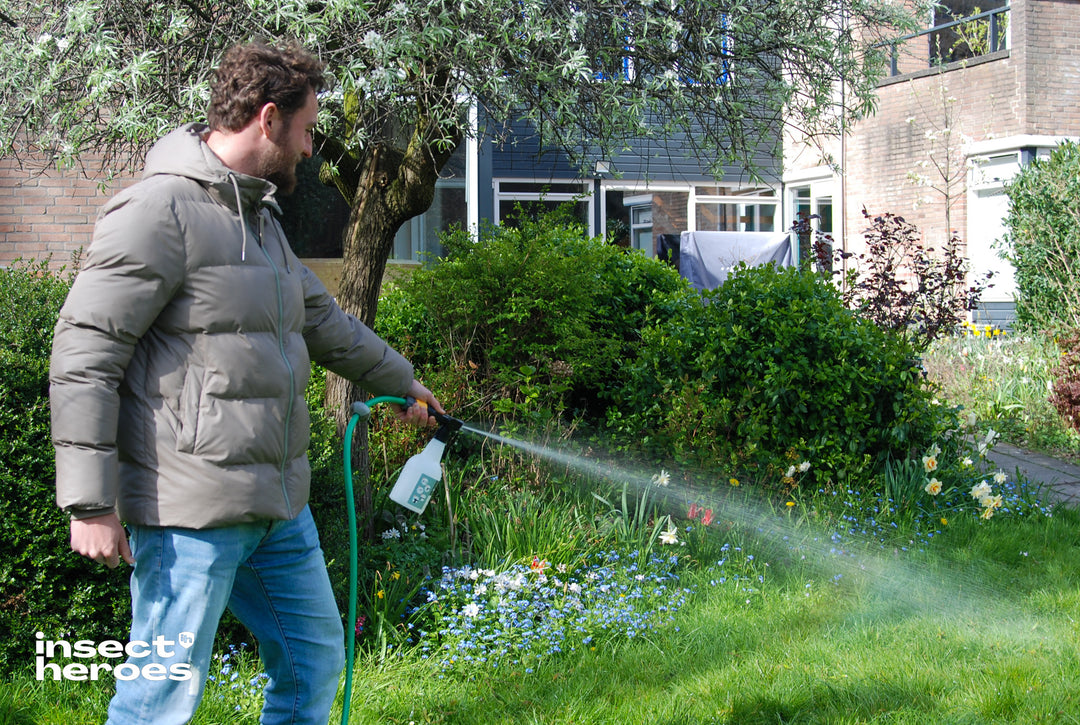 Gazondeal - tegen engerlingen en emelten Gazondeal - tegen engerlingen en emelten
