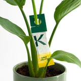 Protect Leafs Deal - voorkom plagen Protect Leafs Deal - voorkom plagen
