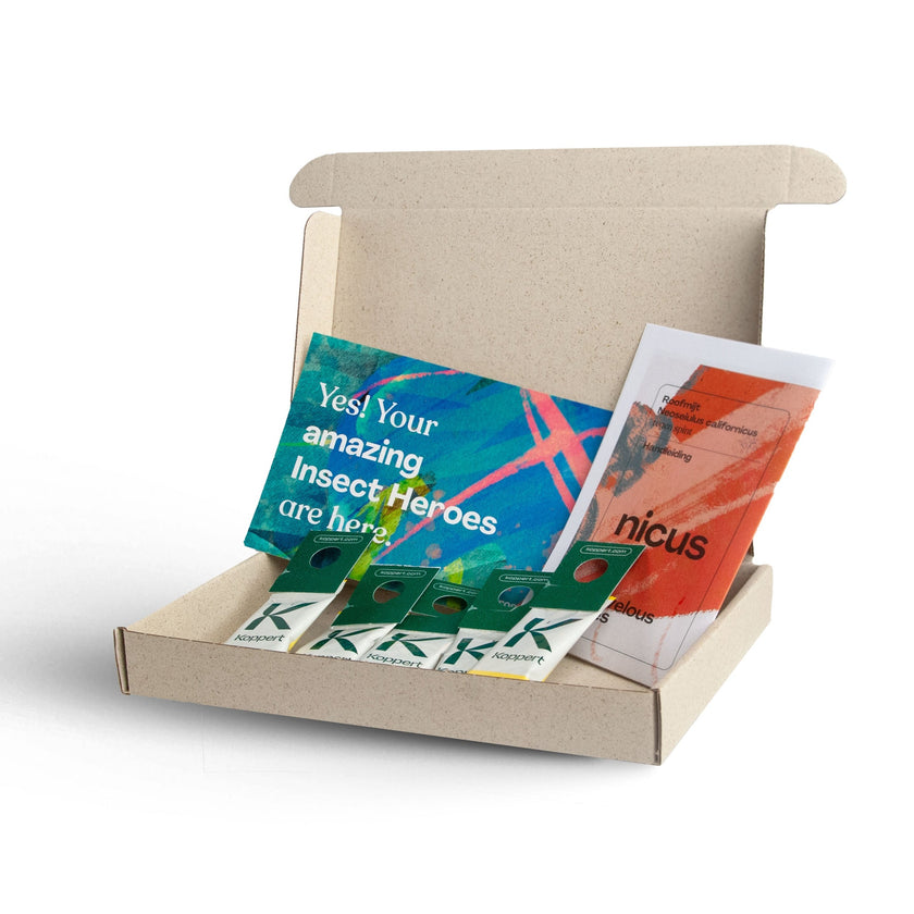 Nicus - tegen spint Nicus - tegen spint