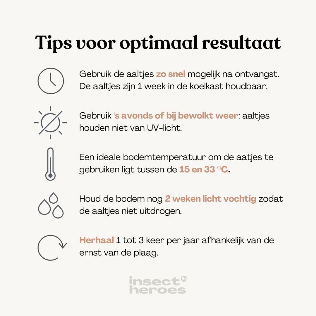 Tips voor het gebruiken van Phora: 1. Gebruik de aaltjes zo snel mogelijk na ontvangst; 2. Gebruik 's avonds of bij bewolkt weer; 3. Een ideale bodemtemperatuur ligt tussen 15 en 33 graden celsius; 4. Houd na gebruik de bodem nog 2 weken light vochtig; 5. Herhaal 1 tot 3 keer per jaar Tips voor het gebruiken van Phora: 1. Gebruik de aaltjes zo snel mogelijk na ontvangst; 2. Gebruik 's avonds of bij bewolkt weer; 3. Een ideale bodemtemperatuur ligt tussen 15 en 33 graden celsius; 4. Houd na gebruik de bodem nog 2 weken light vochtig; 5. Herhaal 1 tot 3 keer per jaar