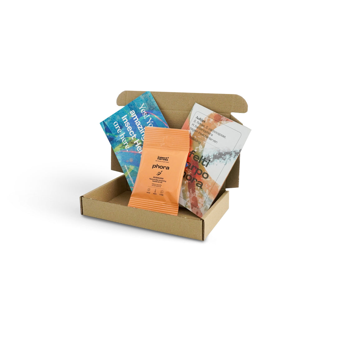 Brievenbuspakket Phora met handleiding Brievenbuspakket Phora met handleiding