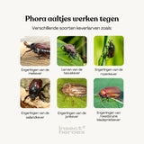 Phora aaltjes werken tegen Verschillende soorten keverlarven zoals: Engerlingen van de meikever, Larven van de taxuskever, Engerlingen van de rozenkever Engerlingen van de sallandkever, Engerlingen van de junikever, Engerlingen van de roestbruine bladsprietkever Phora aaltjes werken tegen Verschillende soorten keverlarven zoals: Engerlingen van de meikever, Larven van de taxuskever, Engerlingen van de rozenkever Engerlingen van de sallandkever, Engerlingen van de junikever, Engerlingen van de roestbruine bladsprietkever