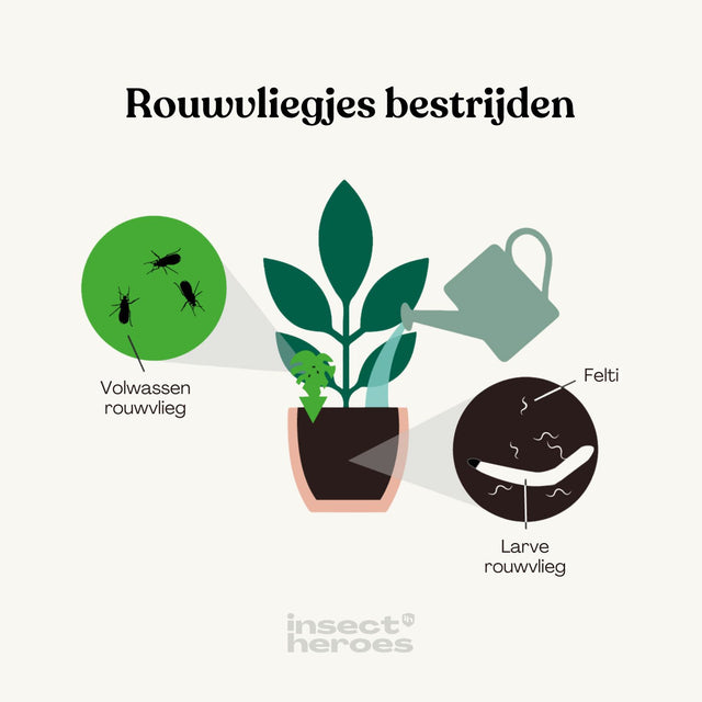 Optimized Deal - tegen rouwvliegjes Brievenbuspakket Optimized Deal - tegen rouwvliegjes met handleiding