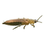 Image 49633819590986 Trips
