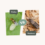 Tricho vlieg en meelmot versus Tricho vlieg en meelmot versus
