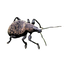 Image 49633819754826 Taxuskever