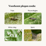 Voorkomt plagen zoals: Trips, Rouwvliegjes, Witte vlieg, Spint Voorkomt plagen zoals: Trips, Rouwvliegjes, Witte vlieg, Spint