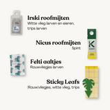 Irski roofmijten helpentegen Witte vlieg en trips larven, Nicus roofmijten helpen tegen Spint, Felti aaltjes helpen tegen rouwvliegjes larven, Sticky Leafs helpen tegen rouwvliegjes, witte vlieg en trips Irski roofmijten helpentegen Witte vlieg en trips larven, Nicus roofmijten helpen tegen Spint, Felti aaltjes helpen tegen rouwvliegjes larven, Sticky Leafs helpen tegen rouwvliegjes, witte vlieg en trips