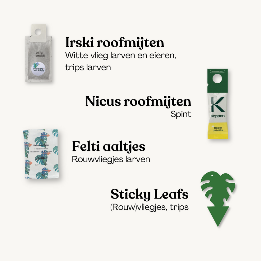 Protect Leafs Deal - voorkom plagen Brievenbuspakket Protect Leafs Deal - tegen veelvoorkomende plagen zoals rouwvliegjes, trips, witte vlieg en spint met handleidingen