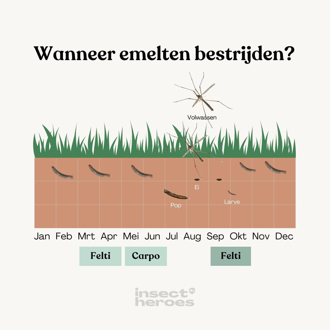 Felti - tegen emelten Felti - tegen emelten