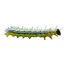Image 49633819558218 Buxusmot