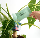 Zakje Crypto wat wordt geleegd in een boxi uitzetdoosje aan een plant Zakje Crypto wat wordt geleegd in een boxi uitzetdoosje aan een plant