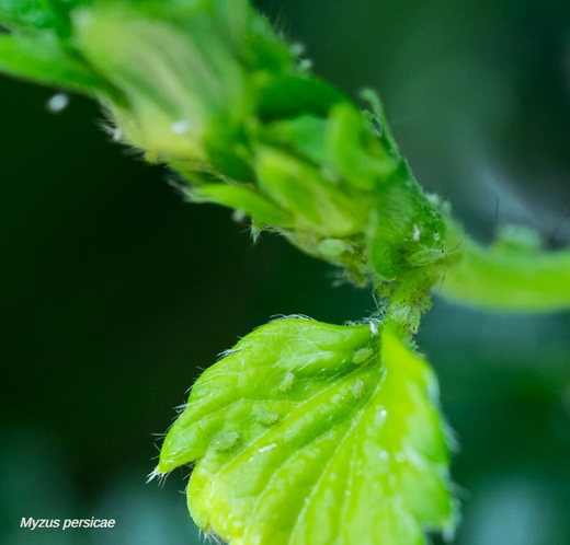 Image 51917861814602 Image 51917861814602