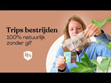 Combi Deal - tegen trips Combi Deal - tegen trips
