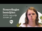 Sticky Leaf Geel Large - tegen rouwvliegjes Sticky Leaf Geel Large - tegen rouwvliegjes