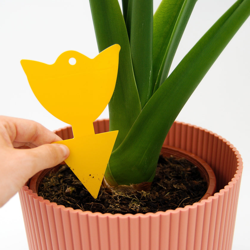 Sticky Leaf Geel Mini - tegen rouwvliegjes Sticky Leaf Geel Mini - tegen rouwvliegjes