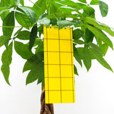 Sticky Leaf Geel Large - tegen rouwvliegjes Sticky Leaf Geel Large - tegen rouwvliegjes