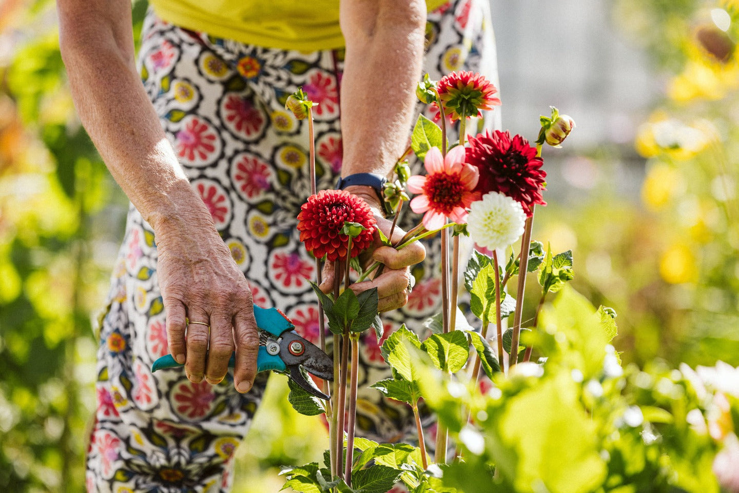 Uitheems groen: verrijking of bedreiging?