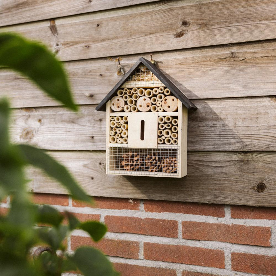 Insectenhotel kopen of maken: hier moet je op letten!
