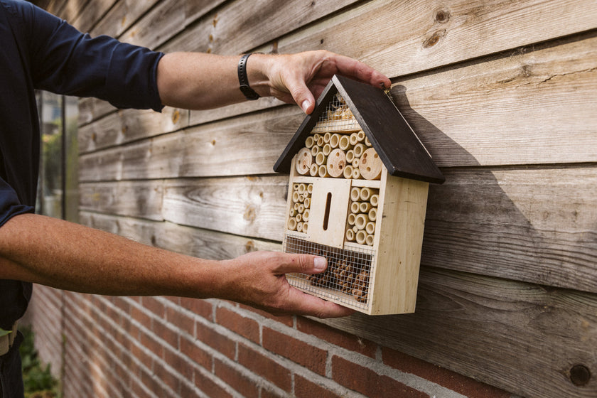 Insectenhotel klaarmaken voor de winter: Zo help je insecten de koude maanden door