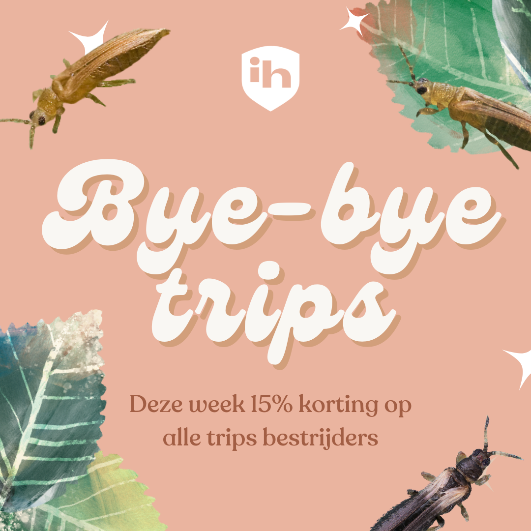 BYE-BYE TRIPS Promotion week