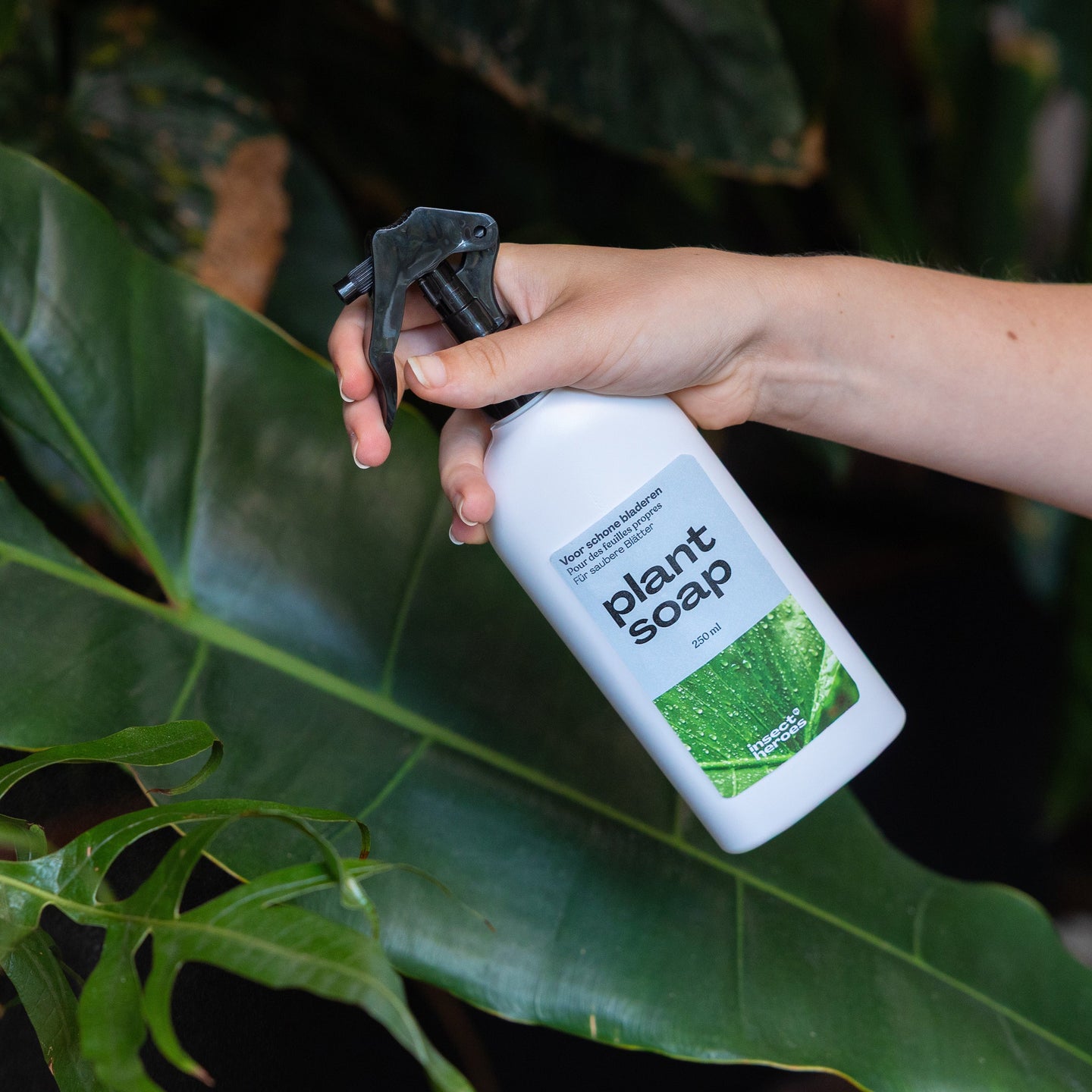Maak de plant schoon met het zeepje van Insect Heroes