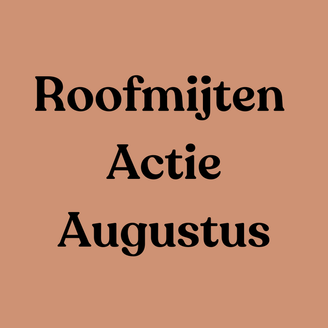 Augustus: Roofmijten actie