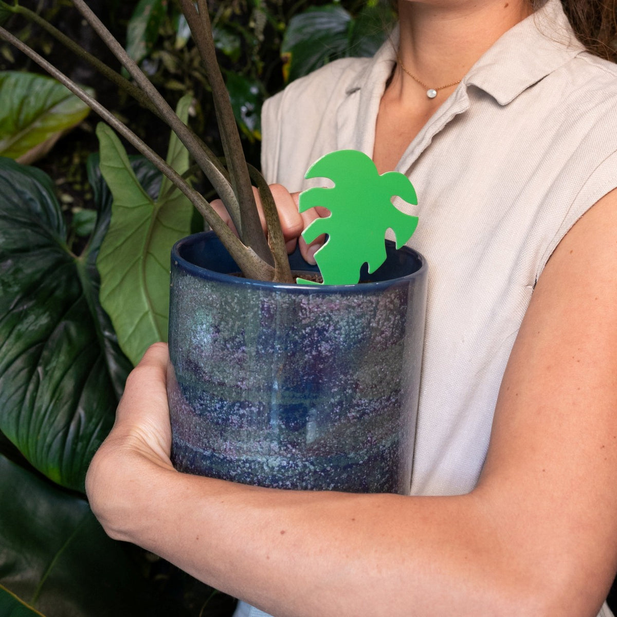 groene vangkaartje met rouwvliegjes erop in een bloempot 