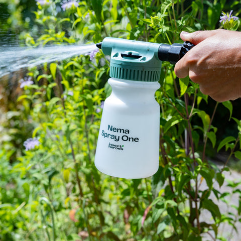 Nema Spray One besproeit planten