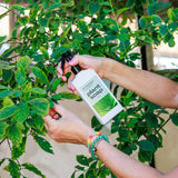 Plant Soap