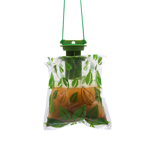 Opgestelde Fly Trap