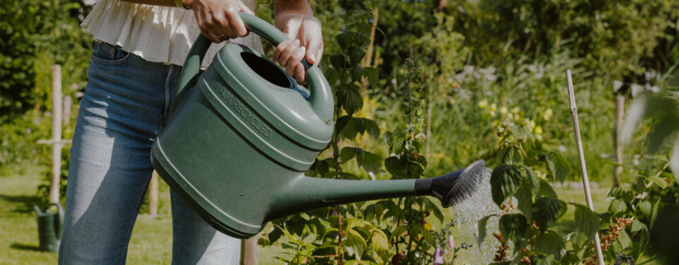 Image 68795594178890