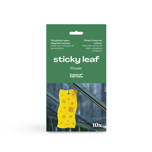 Sticky leaf Flower hangt aan een dakraam