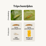 Optimized Deal - tegen trips