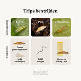 Sticky Leaf Geel Large - tegen trips